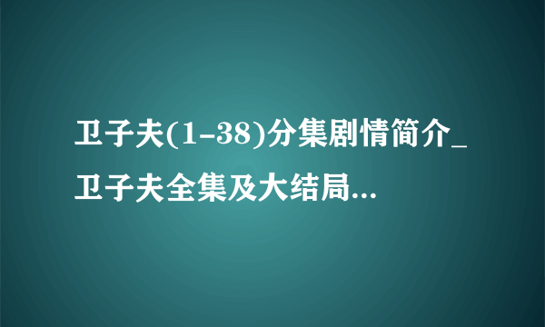 卫子夫(1-38)分集剧情简介_卫子夫全集及大结局剧情介绍-飞外网