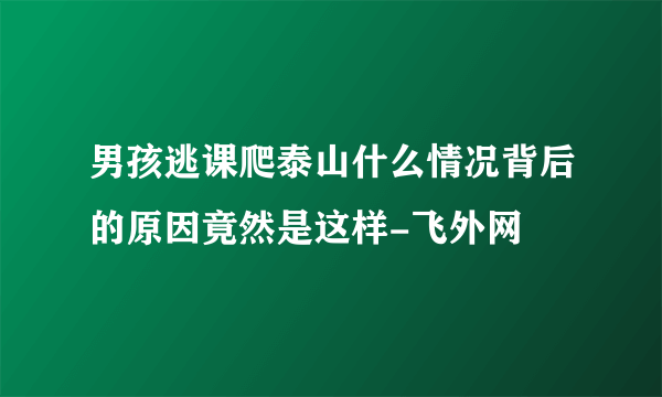 男孩逃课爬泰山什么情况背后的原因竟然是这样-飞外网