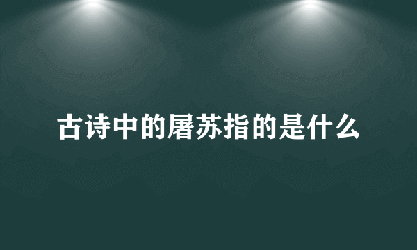 古诗中的屠苏指的是什么