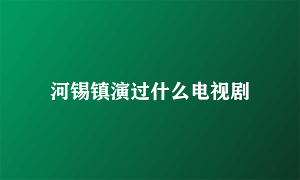 河锡镇演过什么电视剧