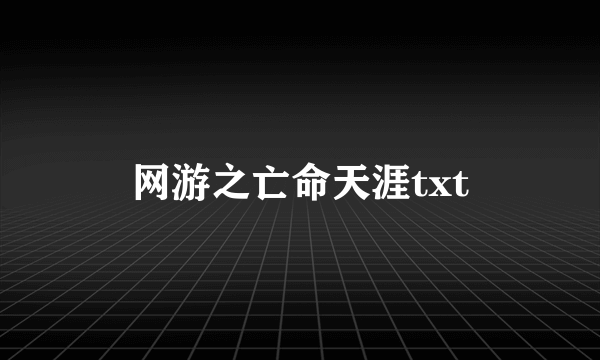 网游之亡命天涯txt