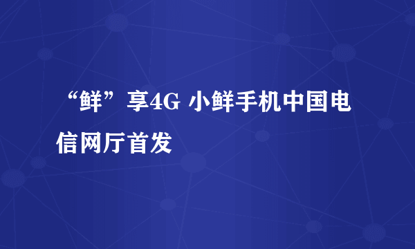 “鲜”享4G 小鲜手机中国电信网厅首发