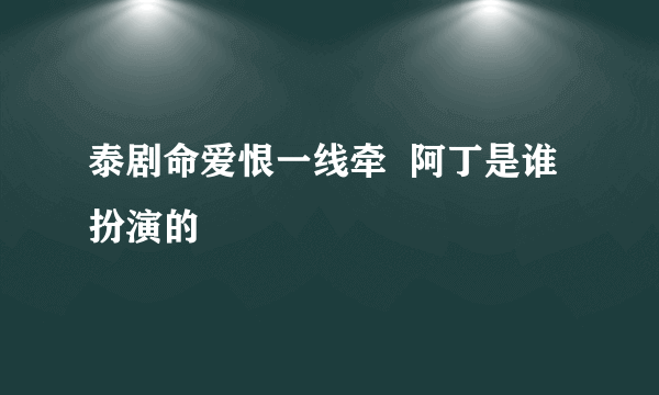 泰剧命爱恨一线牵  阿丁是谁扮演的