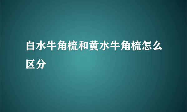 白水牛角梳和黄水牛角梳怎么区分