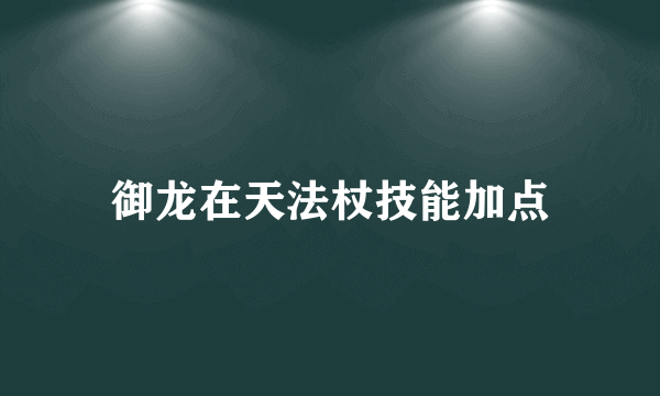 御龙在天法杖技能加点