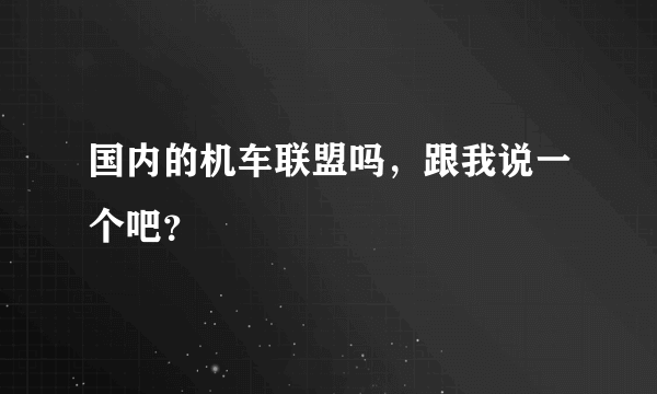 国内的机车联盟吗，跟我说一个吧？