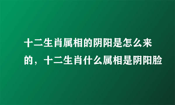 十二生肖属相的阴阳是怎么来的，十二生肖什么属相是阴阳脸