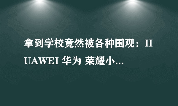 拿到学校竟然被各种围观：HUAWEI 华为 荣耀小K 儿童通话手表 半月简单使用报告