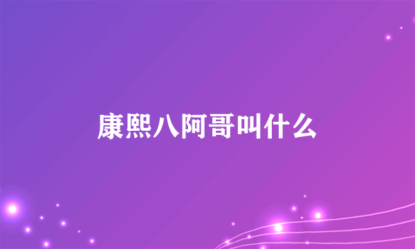 康熙八阿哥叫什么