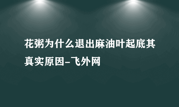 花粥为什么退出麻油叶起底其真实原因-飞外网