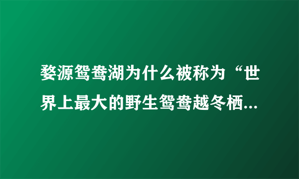 婺源鸳鸯湖为什么被称为“世界上最大的野生鸳鸯越冬栖息地”？