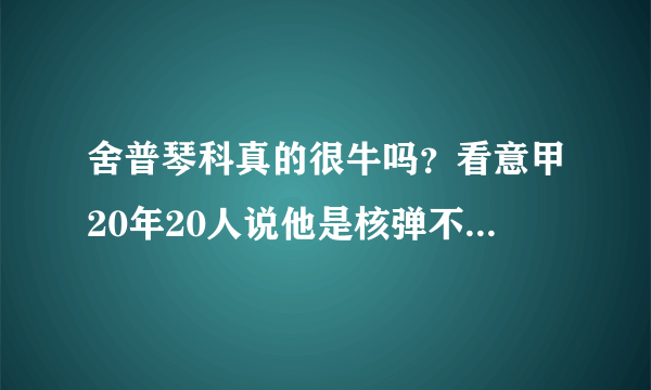 舍普琴科真的很牛吗？看意甲20年20人说他是核弹不至于吧！