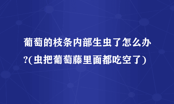 葡萄的枝条内部生虫了怎么办?(虫把葡萄藤里面都吃空了)