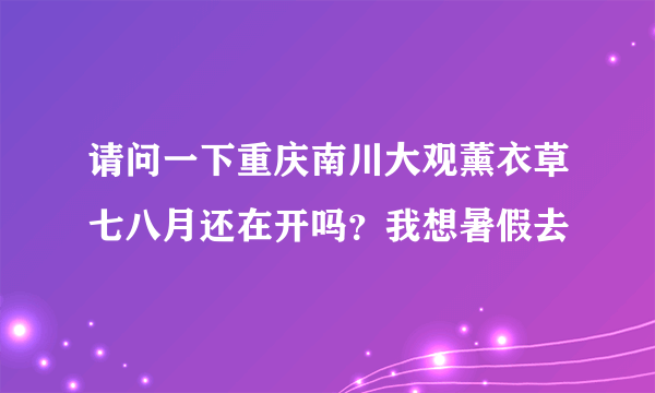 请问一下重庆南川大观薰衣草七八月还在开吗？我想暑假去