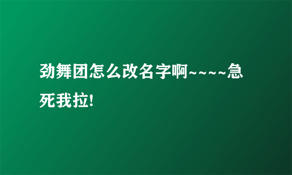 劲舞团怎么改名字啊~~~~急死我拉!