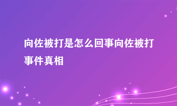 向佐被打是怎么回事向佐被打事件真相