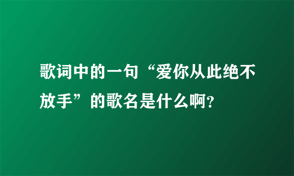 歌词中的一句“爱你从此绝不放手”的歌名是什么啊？