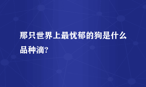 那只世界上最忧郁的狗是什么品种滴?