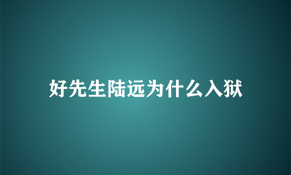 好先生陆远为什么入狱