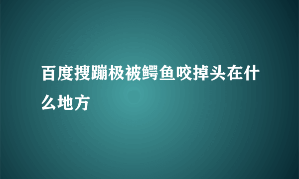 百度搜蹦极被鳄鱼咬掉头在什么地方