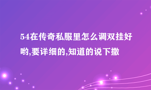 54在传奇私服里怎么调双挂好哟,要详细的,知道的说下撒