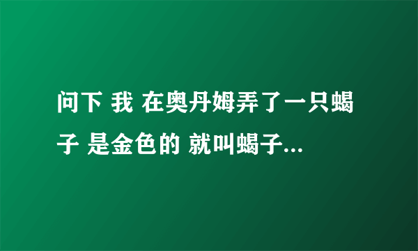 问下 我 在奥丹姆弄了一只蝎子 是金色的 就叫蝎子 是稀有吗 因为是新手 不知道 希望大家别笑话