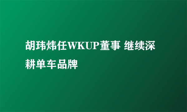 胡玮炜任WKUP董事 继续深耕单车品牌