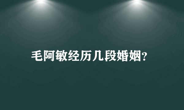 毛阿敏经历几段婚姻？