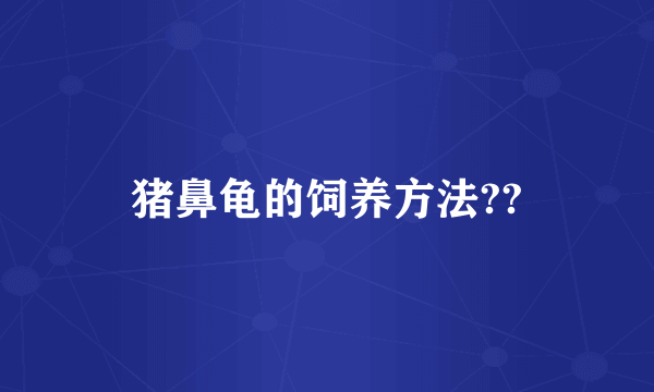 猪鼻龟的饲养方法??