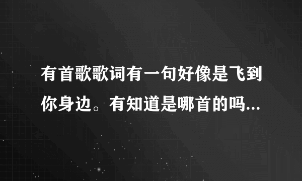 有首歌歌词有一句好像是飞到你身边。有知道是哪首的吗 不确定的也发下我自己去验证下啦