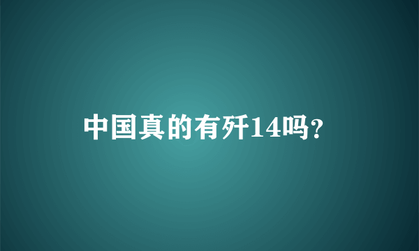 中国真的有歼14吗？