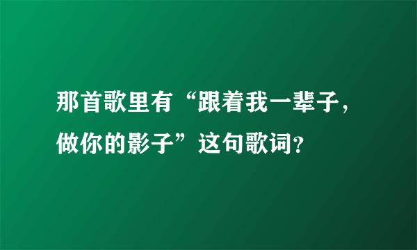 那首歌里有“跟着我一辈子，做你的影子”这句歌词？