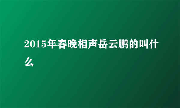 2015年春晚相声岳云鹏的叫什么