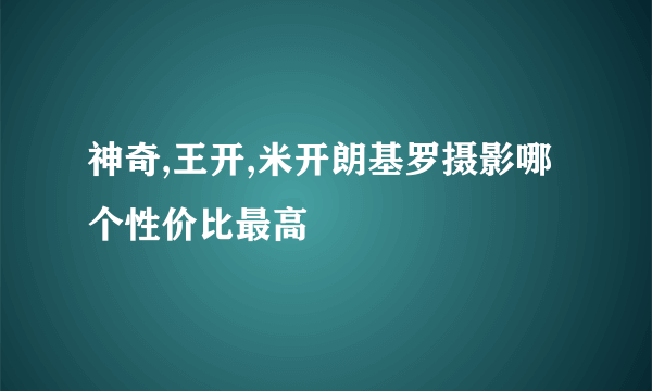 神奇,王开,米开朗基罗摄影哪个性价比最高