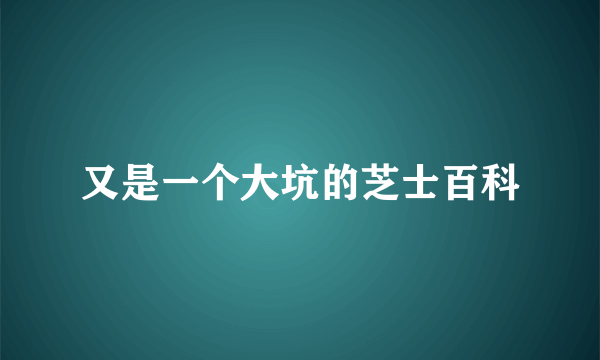 又是一个大坑的芝士百科