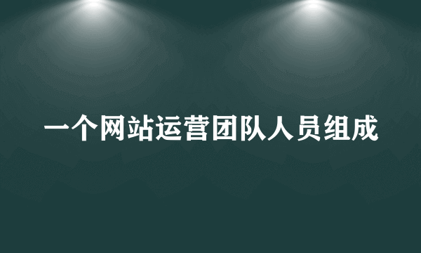 一个网站运营团队人员组成