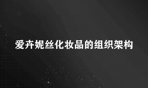 爱卉妮丝化妆品的组织架构