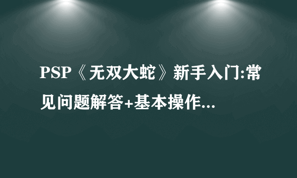 PSP《无双大蛇》新手入门:常见问题解答+基本操作+系统介绍+武器融合