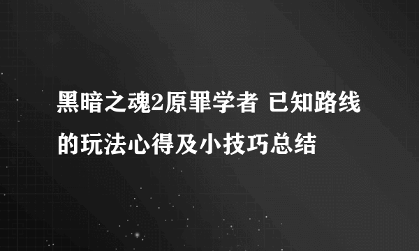 黑暗之魂2原罪学者 已知路线的玩法心得及小技巧总结