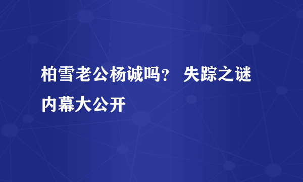 柏雪老公杨诚吗？ 失踪之谜内幕大公开