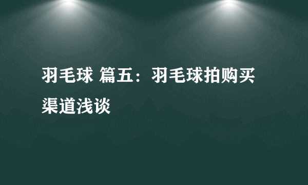 羽毛球 篇五：羽毛球拍购买渠道浅谈