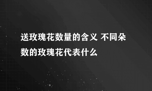 送玫瑰花数量的含义 不同朵数的玫瑰花代表什么