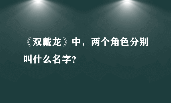 《双戴龙》中，两个角色分别叫什么名字？