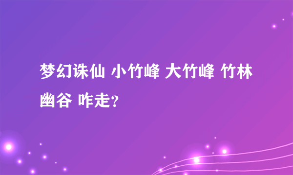 梦幻诛仙 小竹峰 大竹峰 竹林幽谷 咋走？