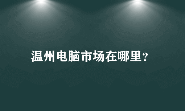 温州电脑市场在哪里？