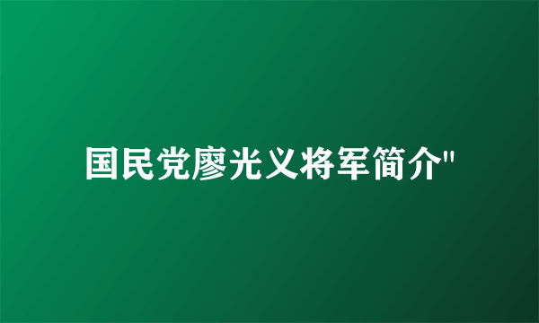 国民党廖光义将军简介