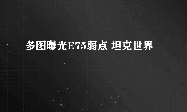 多图曝光E75弱点 坦克世界