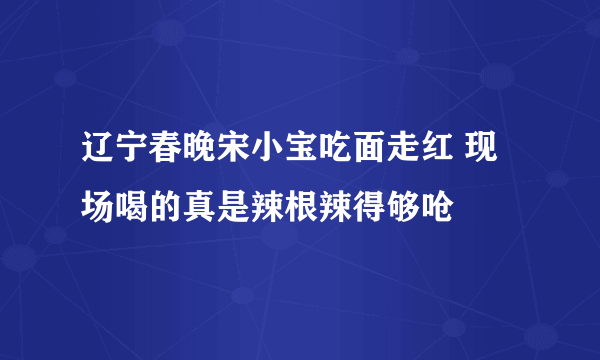 辽宁春晚宋小宝吃面走红 现场喝的真是辣根辣得够呛