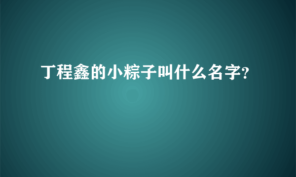 丁程鑫的小粽子叫什么名字？