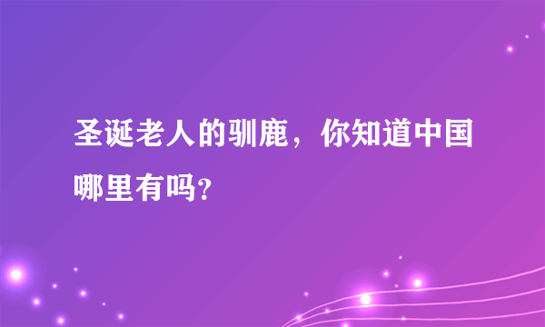 圣诞老人的驯鹿，你知道中国哪里有吗？